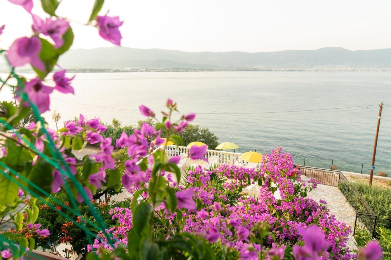 Apartma Fjaba - By The Sea - With The Big Terraces & Great Sea View *